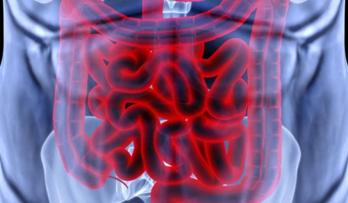 Human Microbiome and Obesity