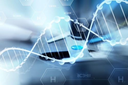 Telomeres and aging